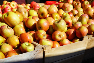 Fresh red and yellow apples at a farmers market