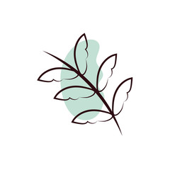 branch with leafs hand draw style