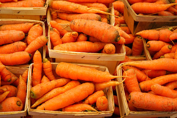Containers of Fresh orange carrots for sale at a farmers market
