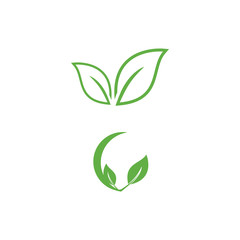 Leaf Logo Template vector symbol