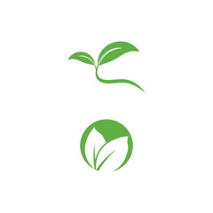 Leaf Logo Template vector symbol