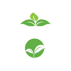 Leaf Logo Template vector symbol