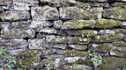 Steinmauer mit Moosbewuchs