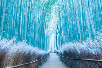 竹林の雪景色ー嵐山