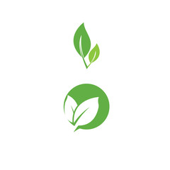 Fototapeta premium Leaf Logo Template vector symbol