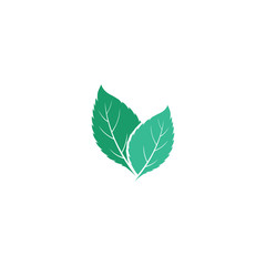 Obraz premium Leaf Mint Logo Template vector symbol