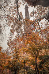 Fototapeta premium Eiffel tower in Paris France on an autumn day surrounded by brown leaves of trees, tour Eiffel in the fall