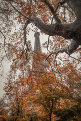 Eiffel tower in Paris France on an autumn day surrounded by brown leaves of trees, tour Eiffel in the fall