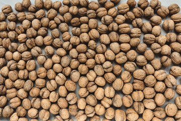 Uncracked walnuts in shell background, concept of healthy eating vegan food. Close up, selective focus