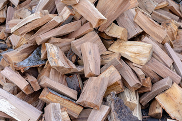 Firewood from a tree piled in a pile