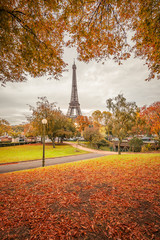 Fototapeta na wymiar Parisian landscape in Autumn with the Eiffel tower in the background in Paris France
