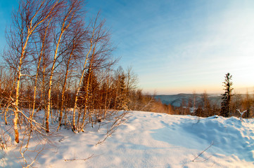 clearing in the winter mountains on a sunny day for outdoor activities and walks
