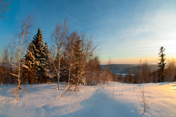 clearing in the winter mountains on a sunny day for outdoor activities and walks
