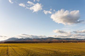 Fototapeta premium 日本の北海道・十勝平野と大雪山