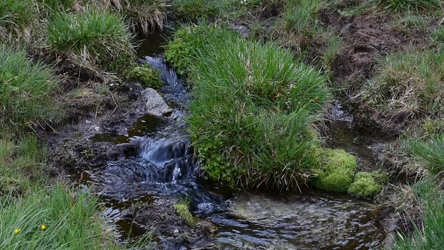 Flowing water of babbling brook