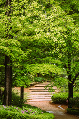 Stone staircase leading up a walkway to through the Forest