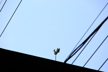 Chicken weather vane on a roof in blue sky