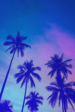 palm trees silhouettes on summer beach, vertical background with copy space