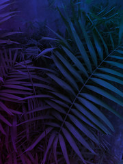 techno colors floral tropical party background, dark blue purple exotic leaves, vertical