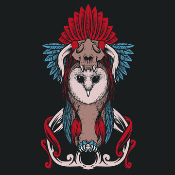 Owl Vintage Illustration