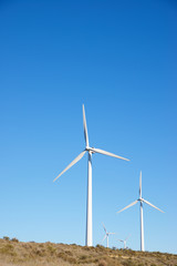 Fototapeta premium Renewable energy concept