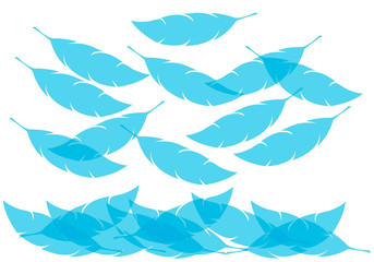 Fototapeta na wymiar Silueta de plumas azules sobre fondo blanco.