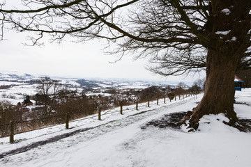 Park Walk Overlooking Blackmore Vale