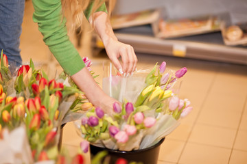 Young woman picks tulips in the store