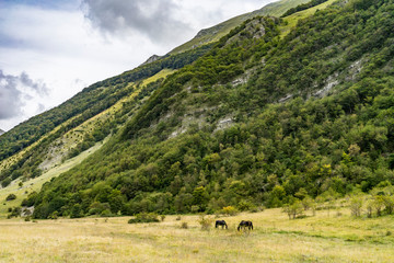 landscape in the mountains