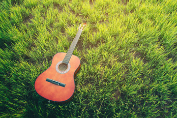 classic guitar lying on green grass with sunlight