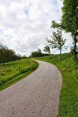 Plakat Country Road at Spring