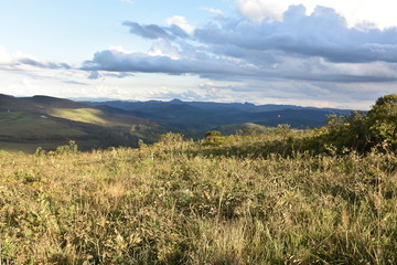 Green and sunny grass with mountains in the background
