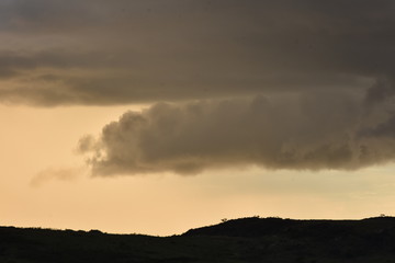 Silhouette of tree and mountains on rainy day