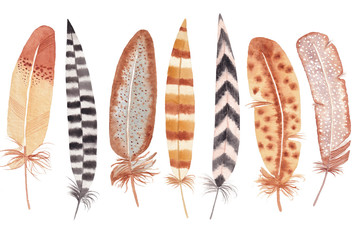 Wild bird feather, set of watercolor feathers