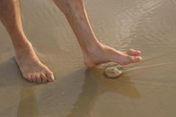 feet on the beach