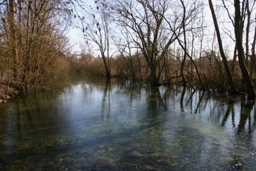 Obraz premium Pond in Winter