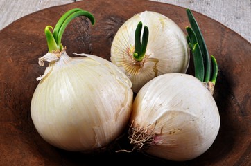 Fresh white onions with small green onion  on a clay plate