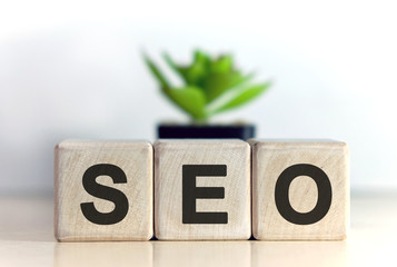 Seo concept. Wooden cubes and flower in a pot.