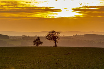Abendröte-Dezember Abend-Zweibrücker Land-Rheinland Pfalz-Germany