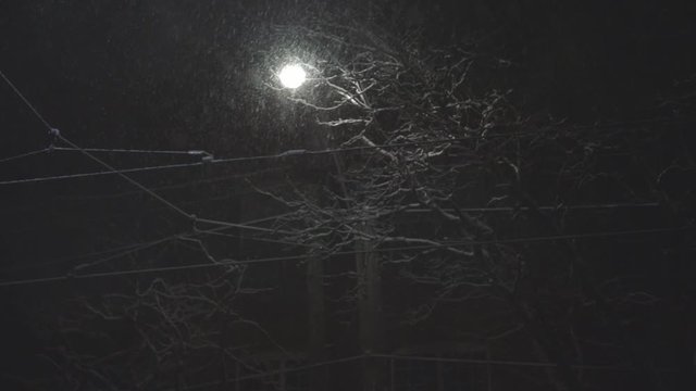 A spooky scene with bare tree branches behind a glowing light on a cold snowy night - low-angle shot