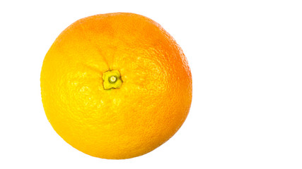 Orange grapefruit on a white background