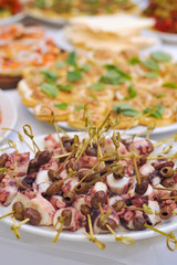 beautifully served appetizers