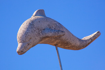 Delfín de Finisterra