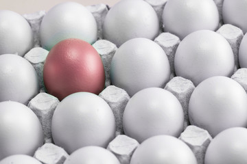 many white eggs in rows in the cells of the egg box, and one red pink, as a symbol of leadership, loneliness, misunderstanding and rejection of society. Easter preparations. individuality