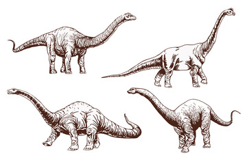 Vintage set of diplodocus  ,sepia vector illustration, dinosaur © Алексей Воробьёв