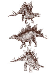 Vintage set of stegosauruses  ,sepia vector illustration, dinosaur © Алексей Воробьёв