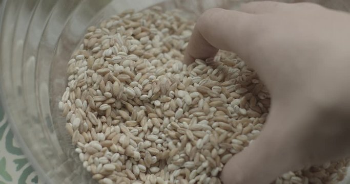 caduta e mani che selezionano orzo e farro