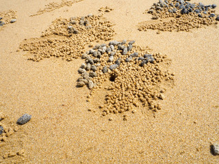 Crab art on sand at Layan beach Phuket Thailand