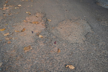 Damaged asphalt pavement road with potholes in rural area. Dry brown leaves are present.