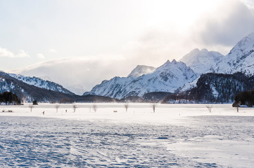Sils, Silsersee, Langlauf, Langlaufloipe, Holzbank, Maloja, Malojawind, Winter, Wintersport, Abendstimmung, Oberengadin, Alpen, Graubünden, Schweiz